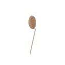 Sestina Lux Headrest - 3