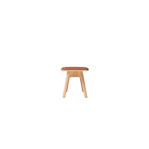 Ten Bench 215 (Without Backrest) - 3