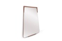 Destiny Mirror